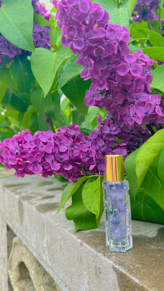 Wisteria and Lilac Perfume